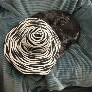 feminine broad rim sunhat